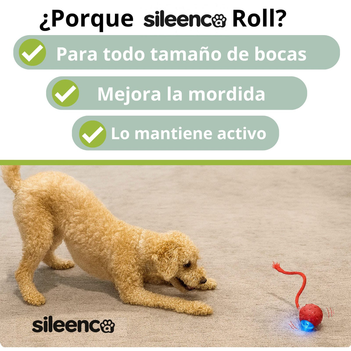 Perro jugando con Sileenca Roll, resistente y seguro