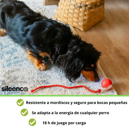 Sileenca Roll funciona en cualquier suelo