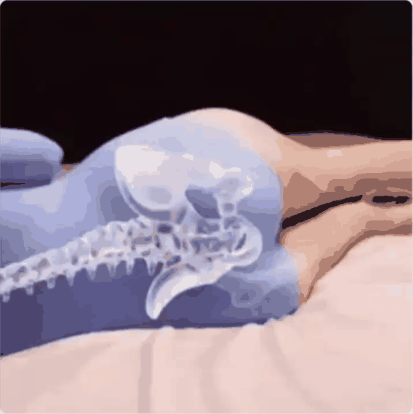Almohada para cadera